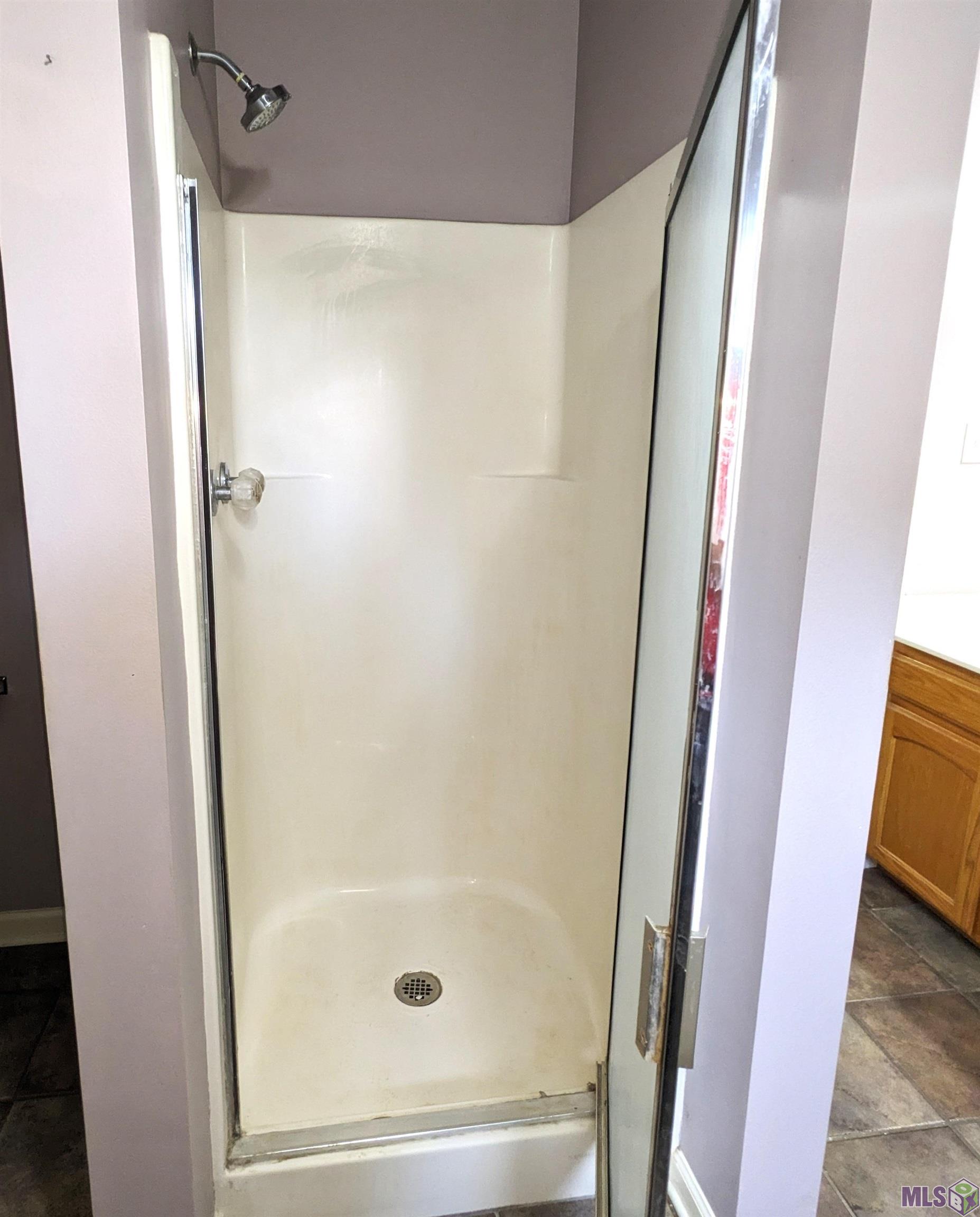 39372 Shafter Leblanc Road Gonzales, LA 70737 - Photo 20 of 31 Separate Shower in Primary Bathroom