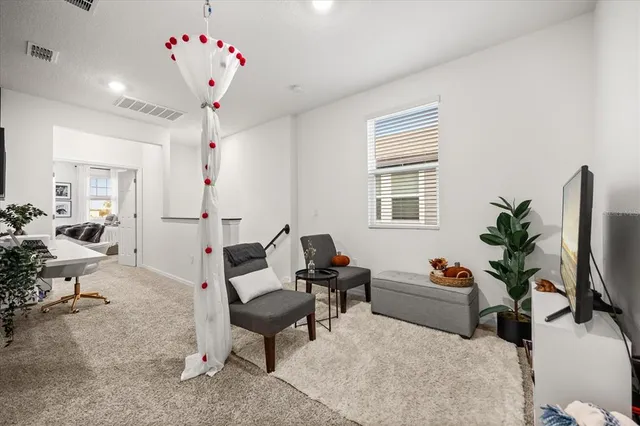 a living room with furniture flowerpot and a chandelier