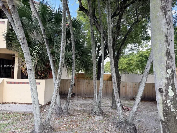 a view of a yard with a tree