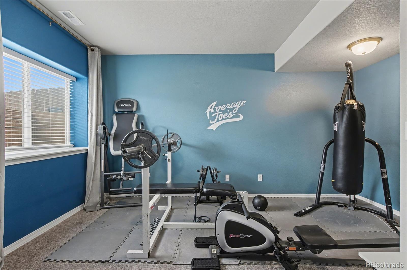 8271 White Fish Way Colorado Springs, CO 80908 - Photo 28 of 47 a view of a room with gym equipment