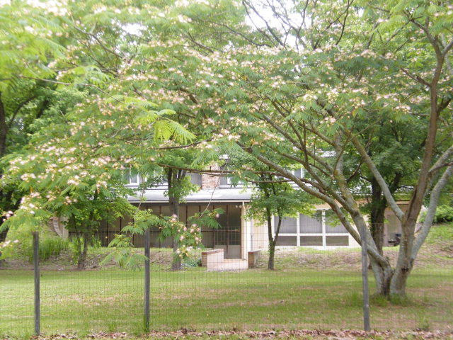 200 Grady Pond Road Batesburg, SC 29006 - Photo 27 of 33