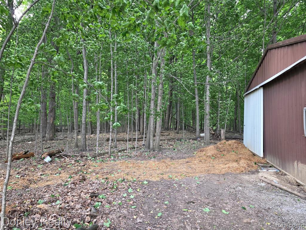 5900 Frenchline Road Marlette, MI 48453 - Photo 10 of 16