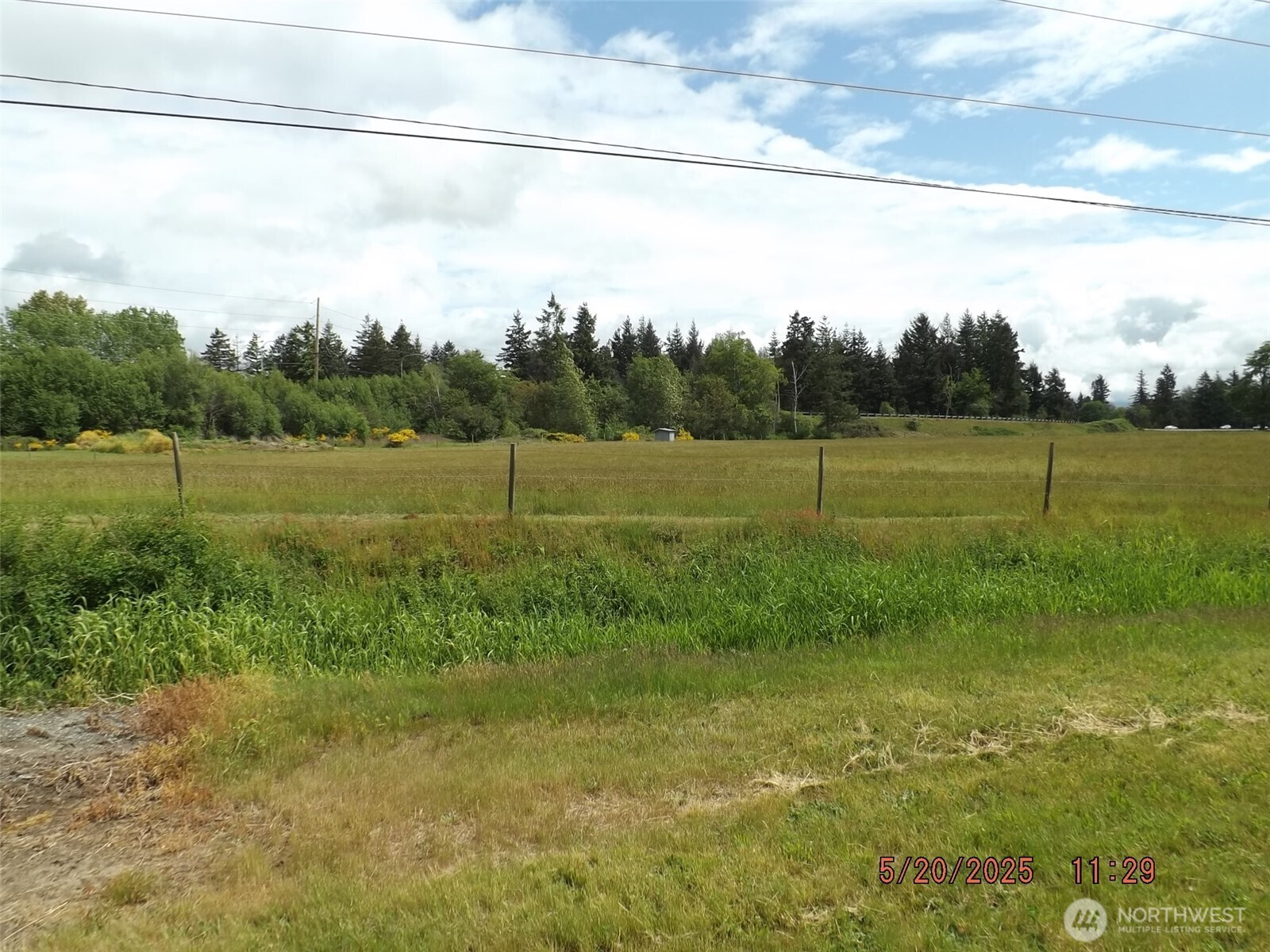 6850 Portal Way Ferndale, WA 98248 - Photo 8 of 10 a view of outdoor space with green field and trees