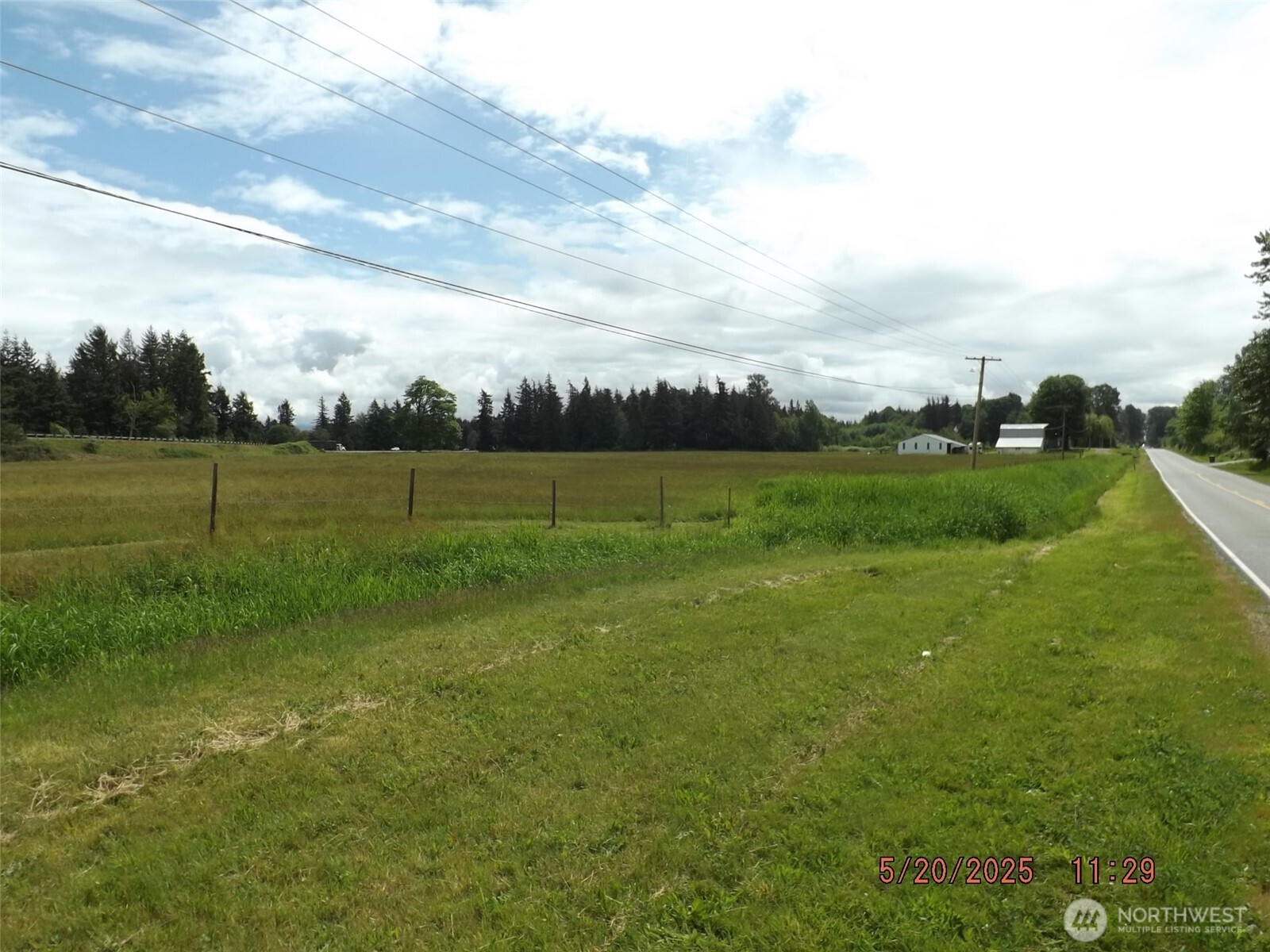 6850 Portal Way Ferndale, WA 98248 - Photo 9 of 10 a view of field with tall trees
