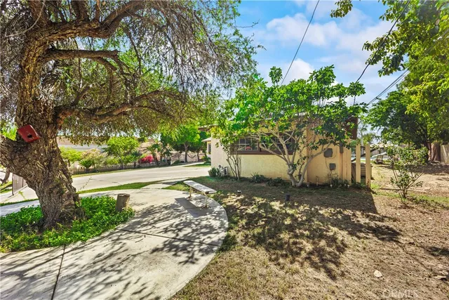a view of a yard with plants and trees