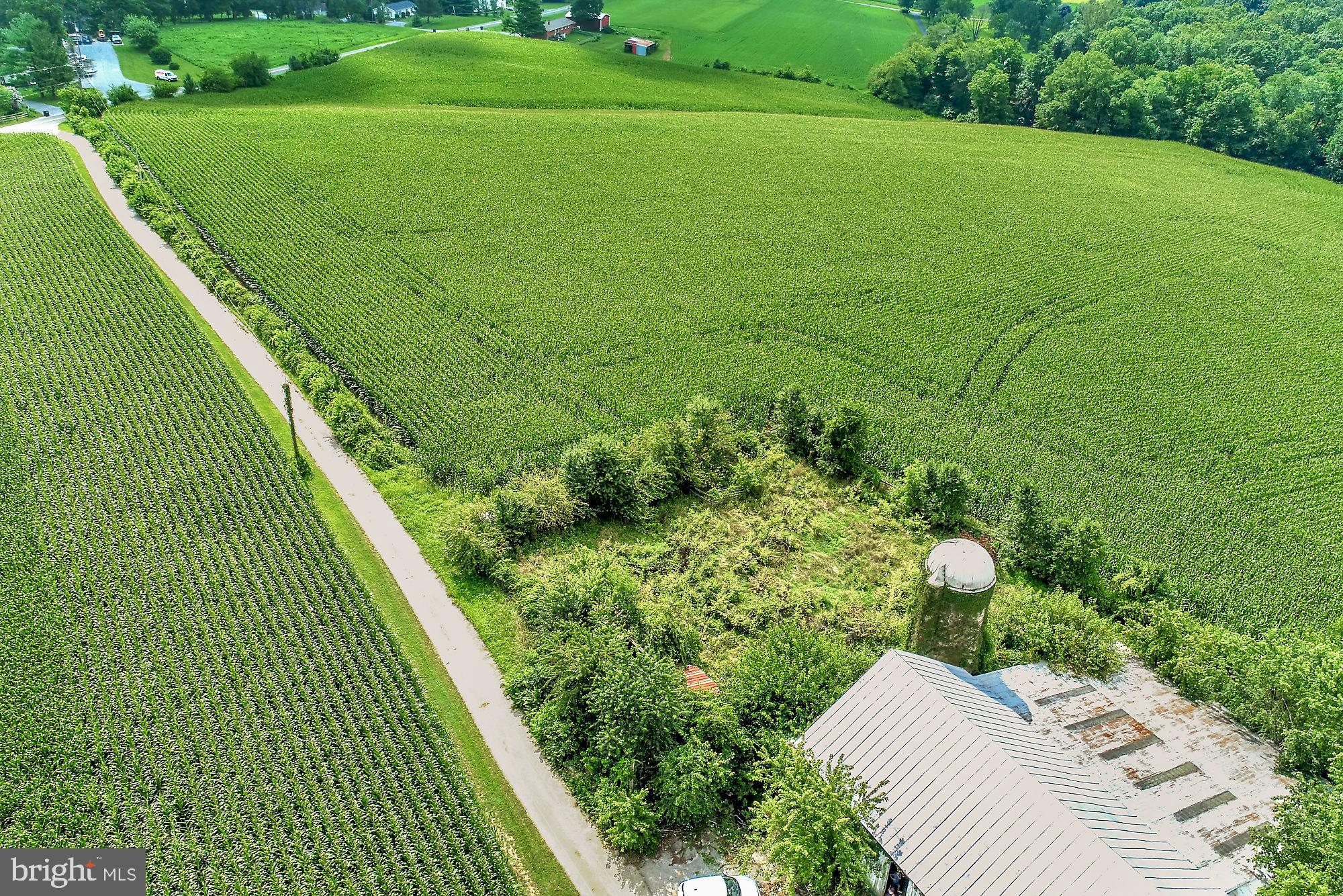 828 Wesley Road Finksburg, MD 21048 - Photo 12 of 19