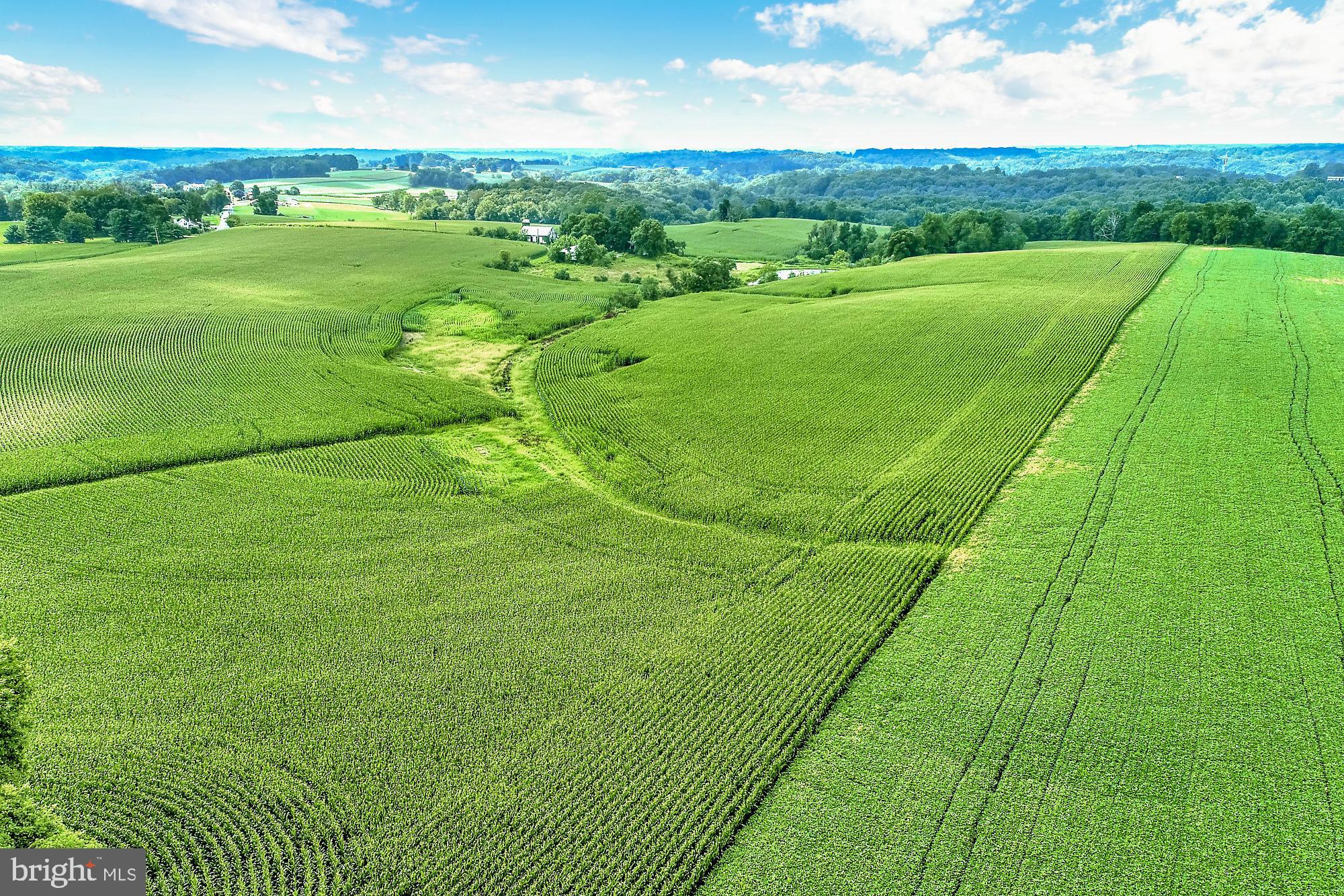 828 Wesley Road Finksburg, MD 21048 - Photo 6 of 19