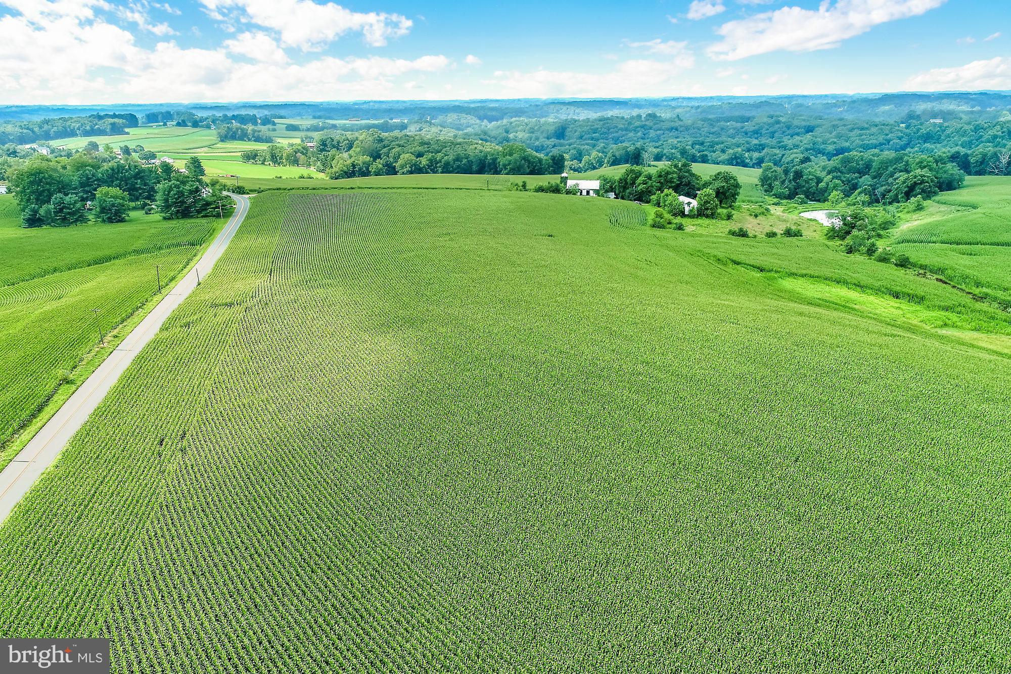 828 Wesley Road Finksburg, MD 21048 - Photo 7 of 19