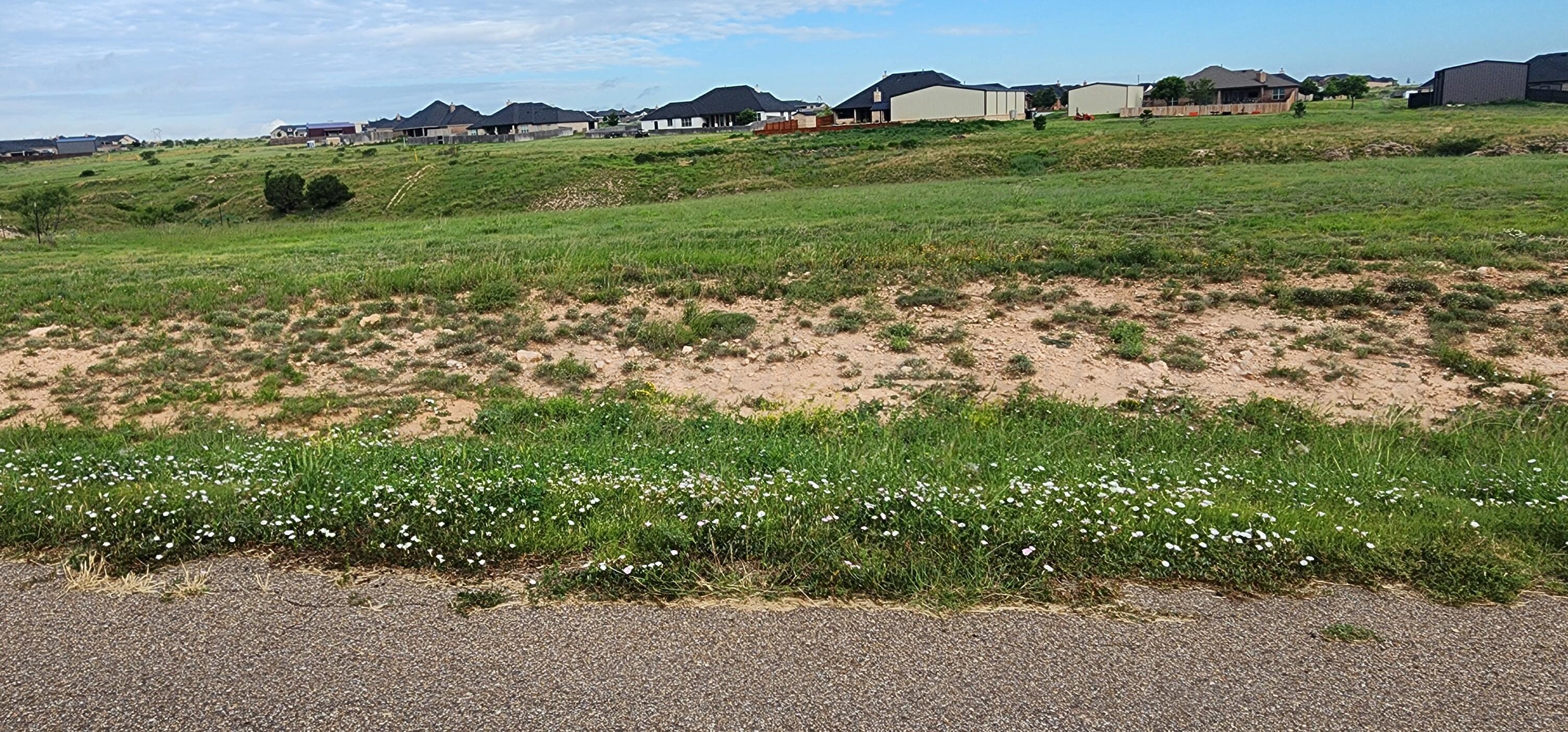 1101 Idlerye Road Amarillo, TX 79124 - Photo 2 of 2 a view of a green field with lots of bushes