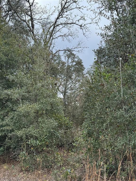 71 Street Williston Bronson, FL 32621 - Photo 1 of 1 Front elevation