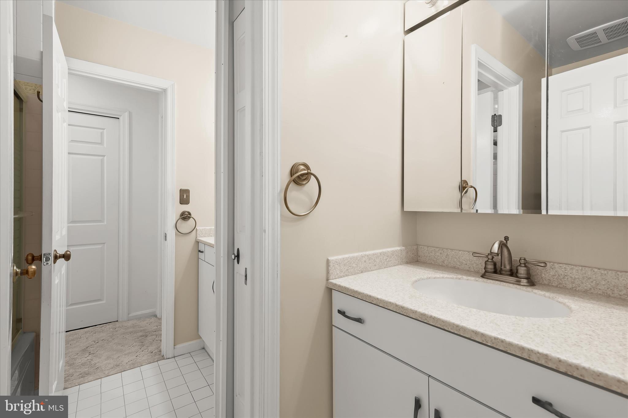 13612 Jacobs Road Mount Airy, MD 21771 - Photo 25 of 90 a bathroom with a sink and a mirror
