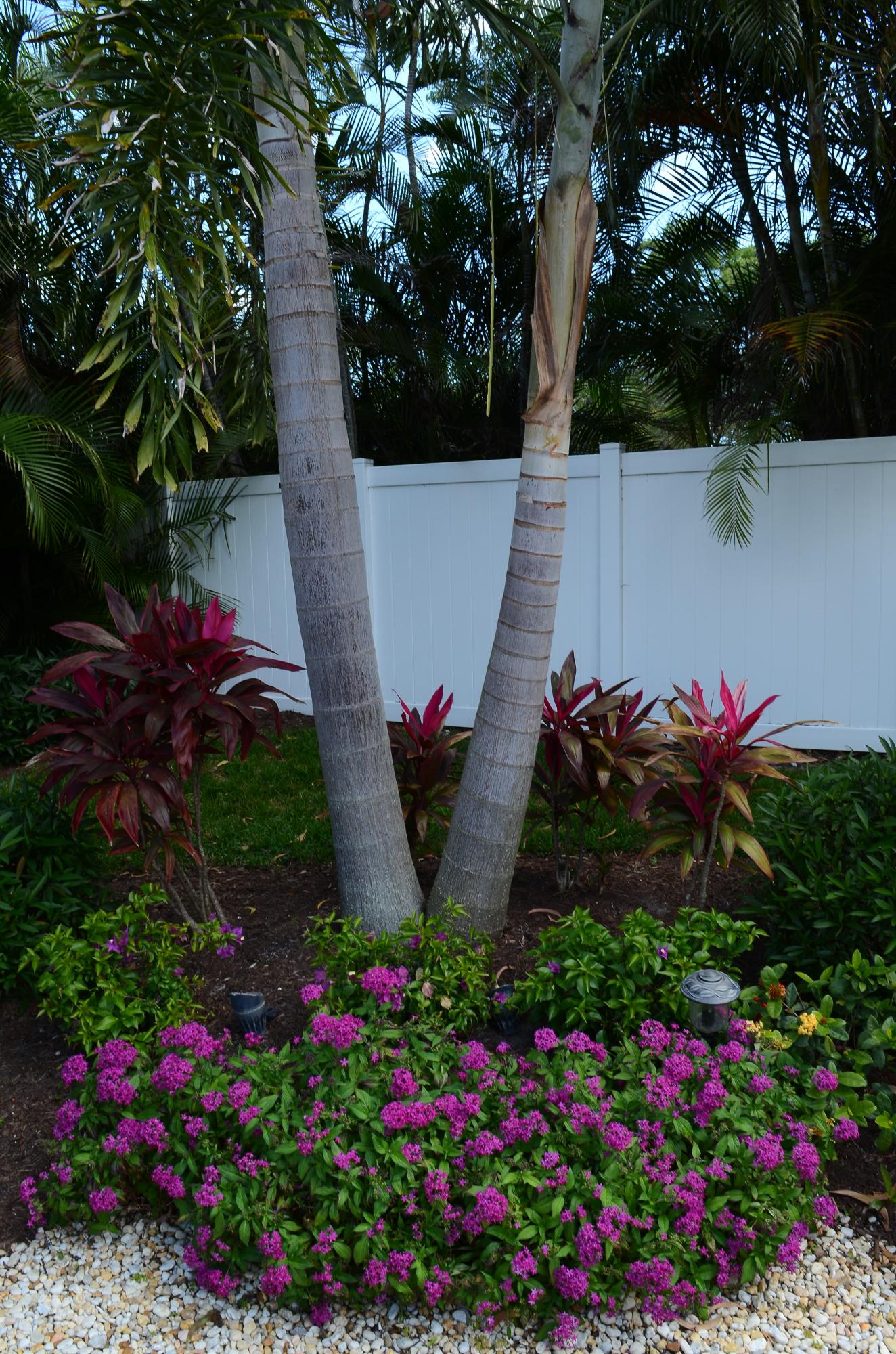 7229 Arcadia Court Boca Raton, FL 33433 - Photo 51 of 55 ABA_1679-min