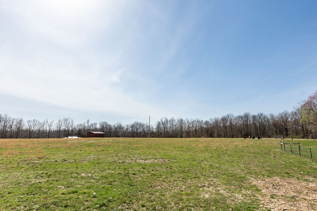 1212 Smith Thompson Road Bethpage, TN 37022 - Photo 40 of 58