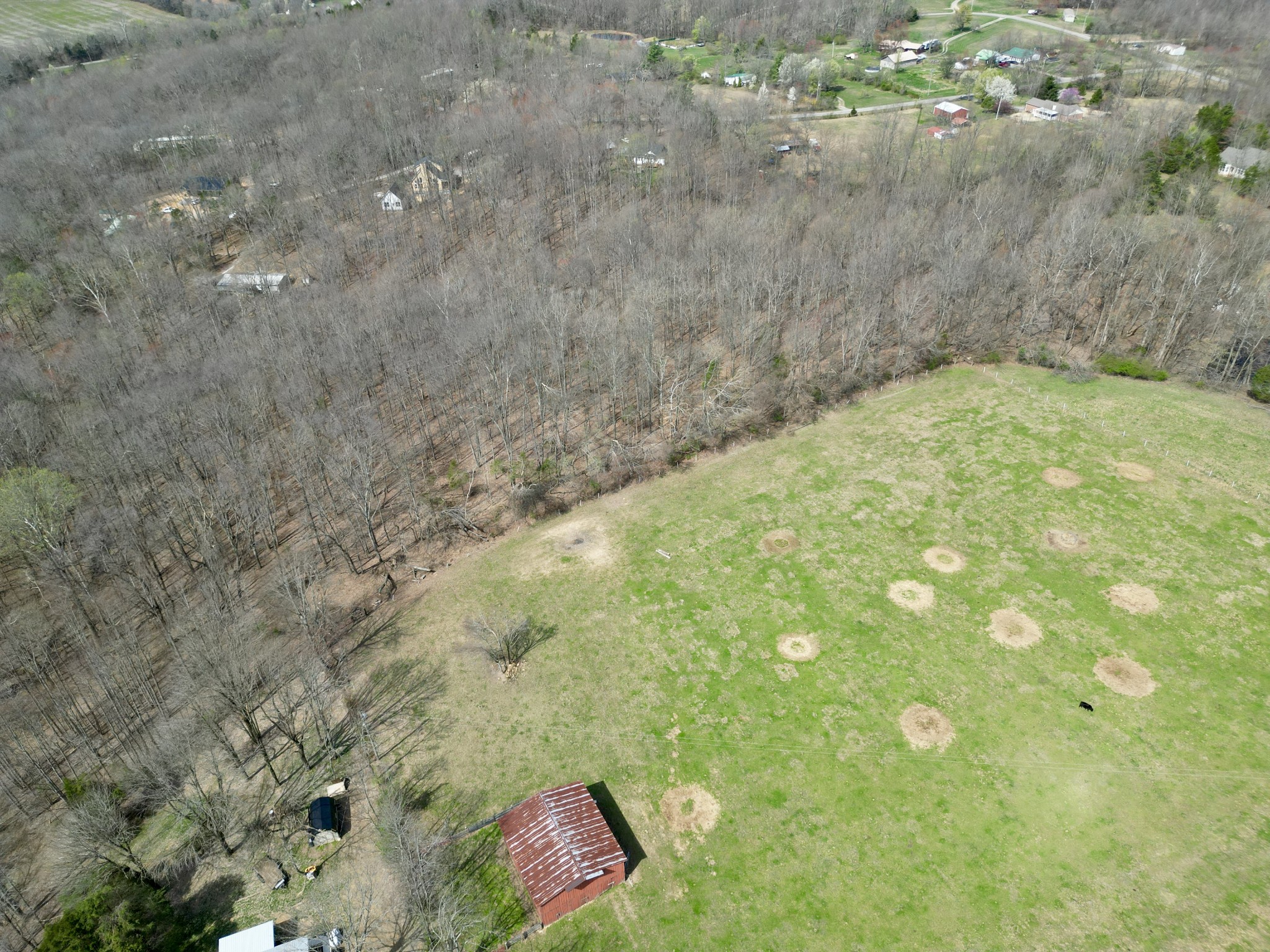 1212 Smith Thompson Road Bethpage, TN 37022 - Photo 46 of 58