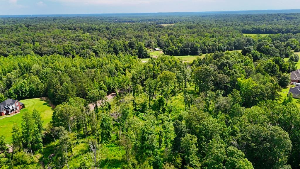 1 Oakview Loop Bolivar, TN 38008 - Photo 11 of 17 a view of a lush green forest with trees and some houses