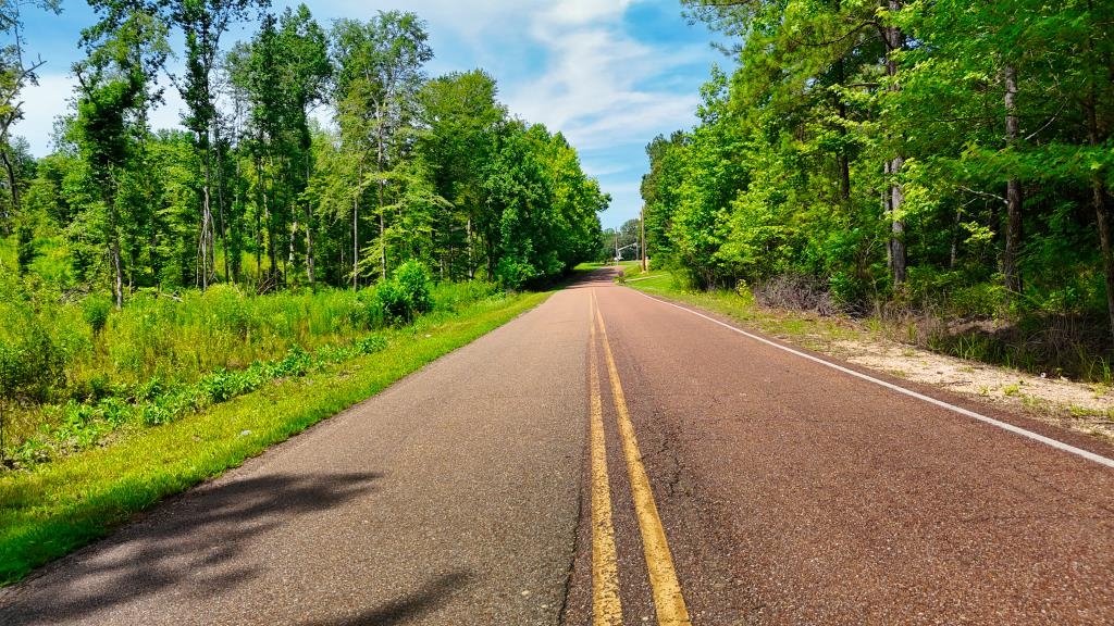 1 Oakview Loop Bolivar, TN 38008 - Photo 15 of 17 a view of a street with a yard