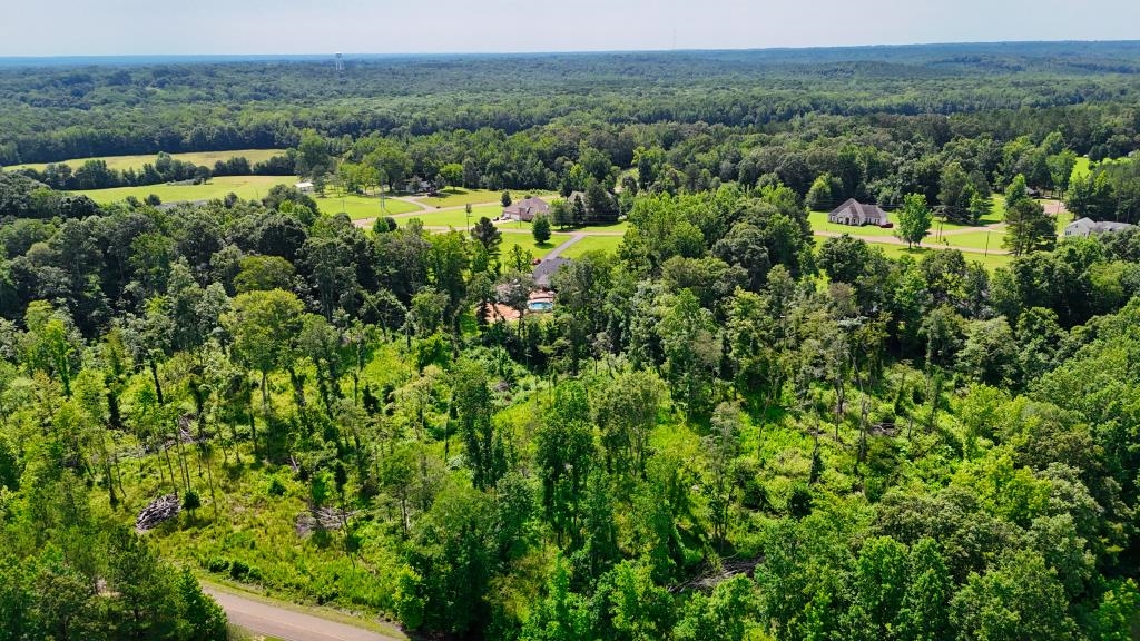 1 Oakview Loop Bolivar, TN 38008 - Photo 2 of 17 an aerial view of green landscape with trees houses and mountain view
