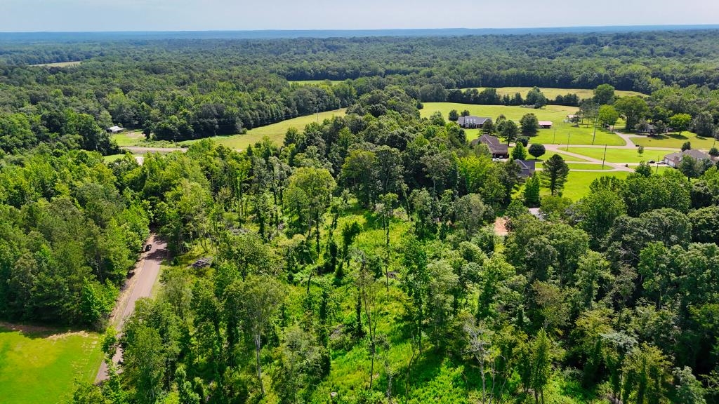 1 Oakview Loop Bolivar, TN 38008 - Photo 3 of 17 a view of a lush green forest with trees and some houses