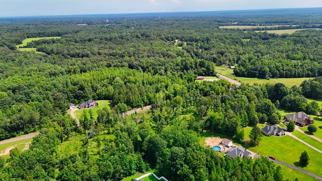 1 Oakview Loop Bolivar, TN 38008 - Photo 4 of 17 a view of a lush green forest with trees and flowers