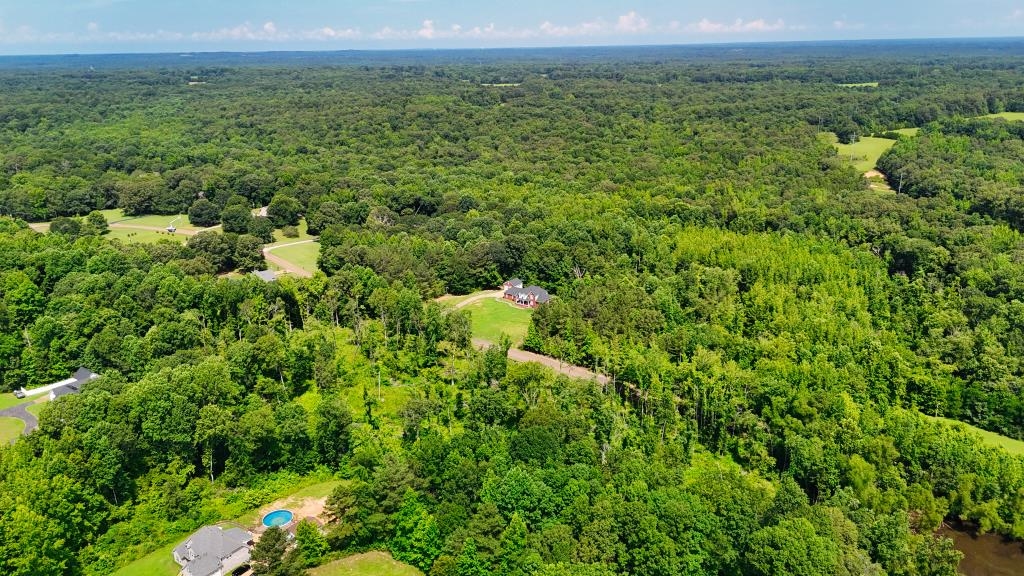 1 Oakview Loop Bolivar, TN 38008 - Photo 6 of 17 a view of a lush green forest with trees and some houses
