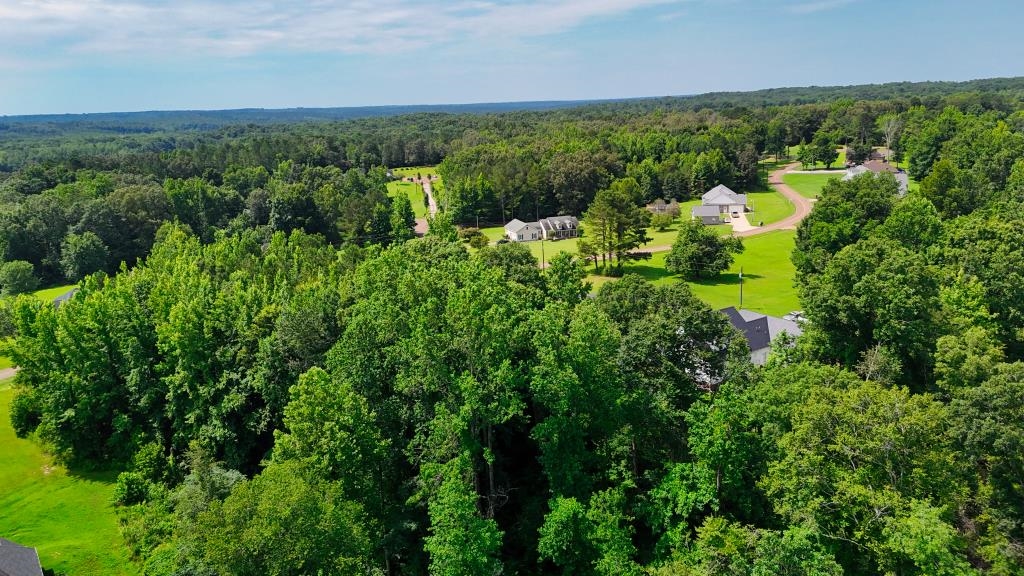 1 Oakview Loop Bolivar, TN 38008 - Photo 8 of 17 an aerial view of a house with a yard