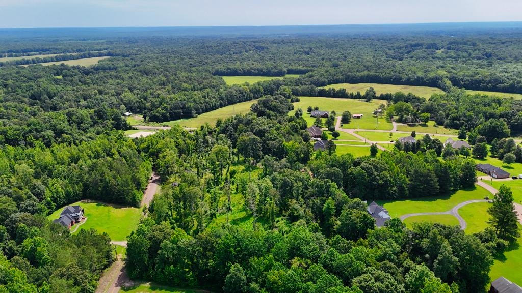 1 Oakview Loop Bolivar, TN 38008 - Photo 9 of 17 an aerial view of a house with garden space and outdoor seating
