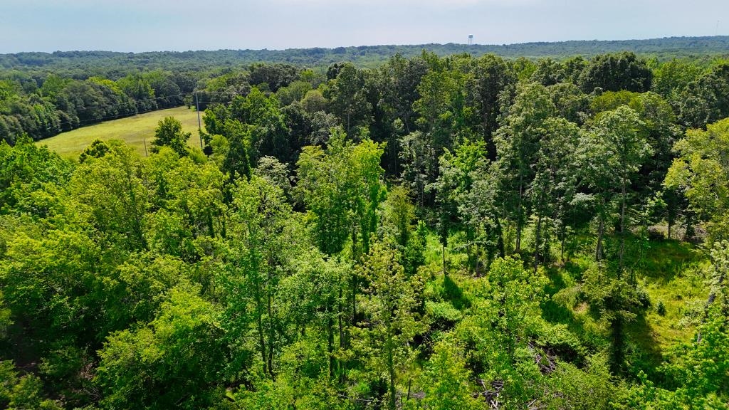 1 Oakview Loop Bolivar, TN 38008 - Photo 10 of 17 a view of a lush green forest with trees and some houses