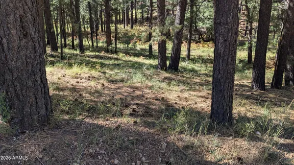 $280,000 | 1878 Sheep Springs Road, Unit 427, Forest Lakes, AZ 85931