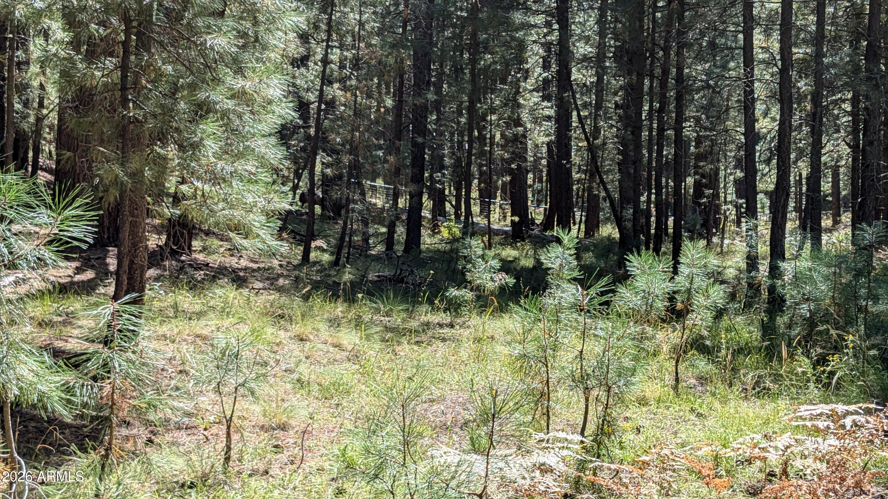 1878 Sheep Springs Road, Unit 427 Forest Lakes, AZ 85931 - Photo 14 of 22 PXL_20240919_210206506