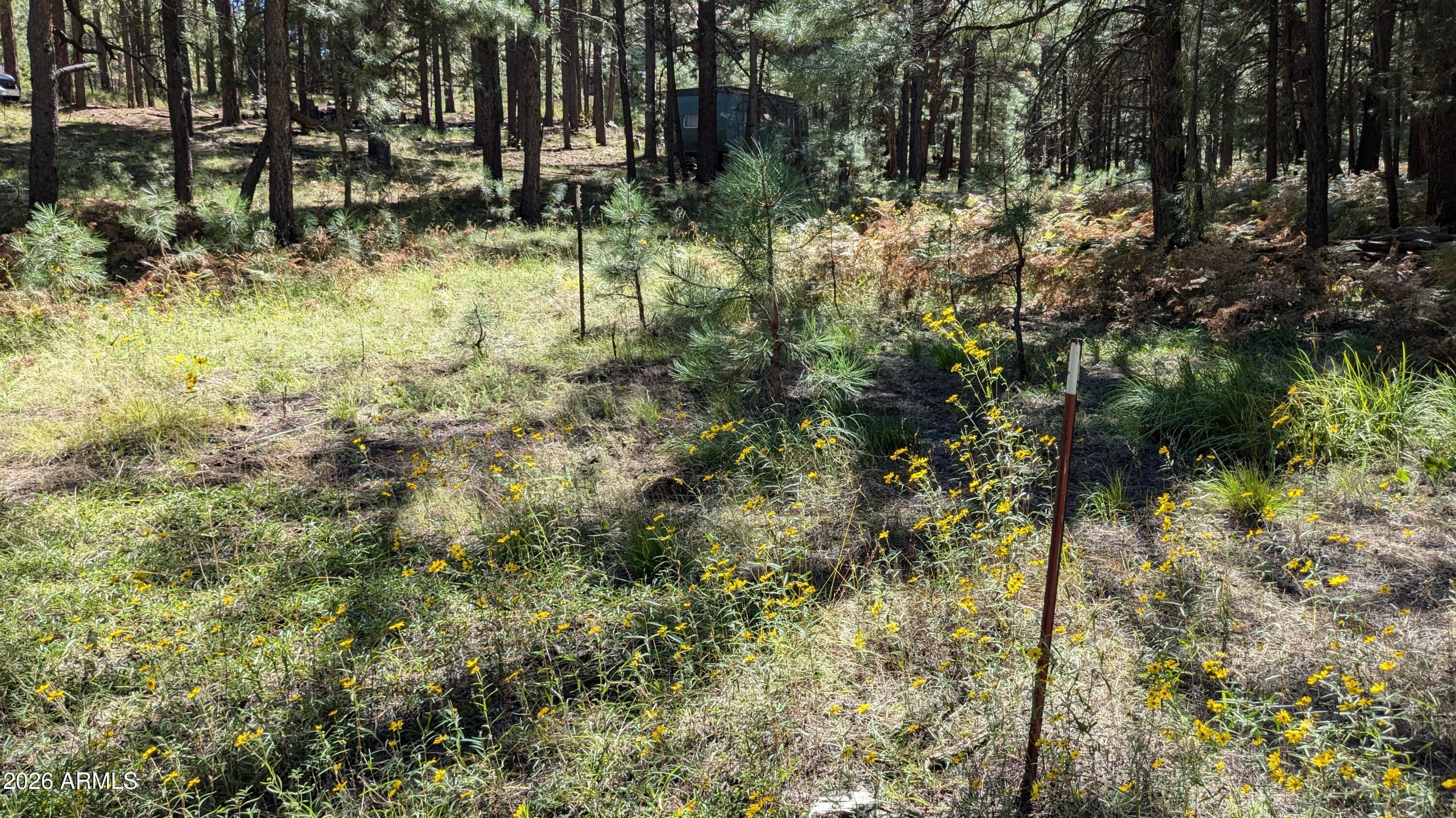 1878 Sheep Springs Road, Unit 427 Forest Lakes, AZ 85931 - Photo 15 of 22 PXL_20240919_210402072.MP