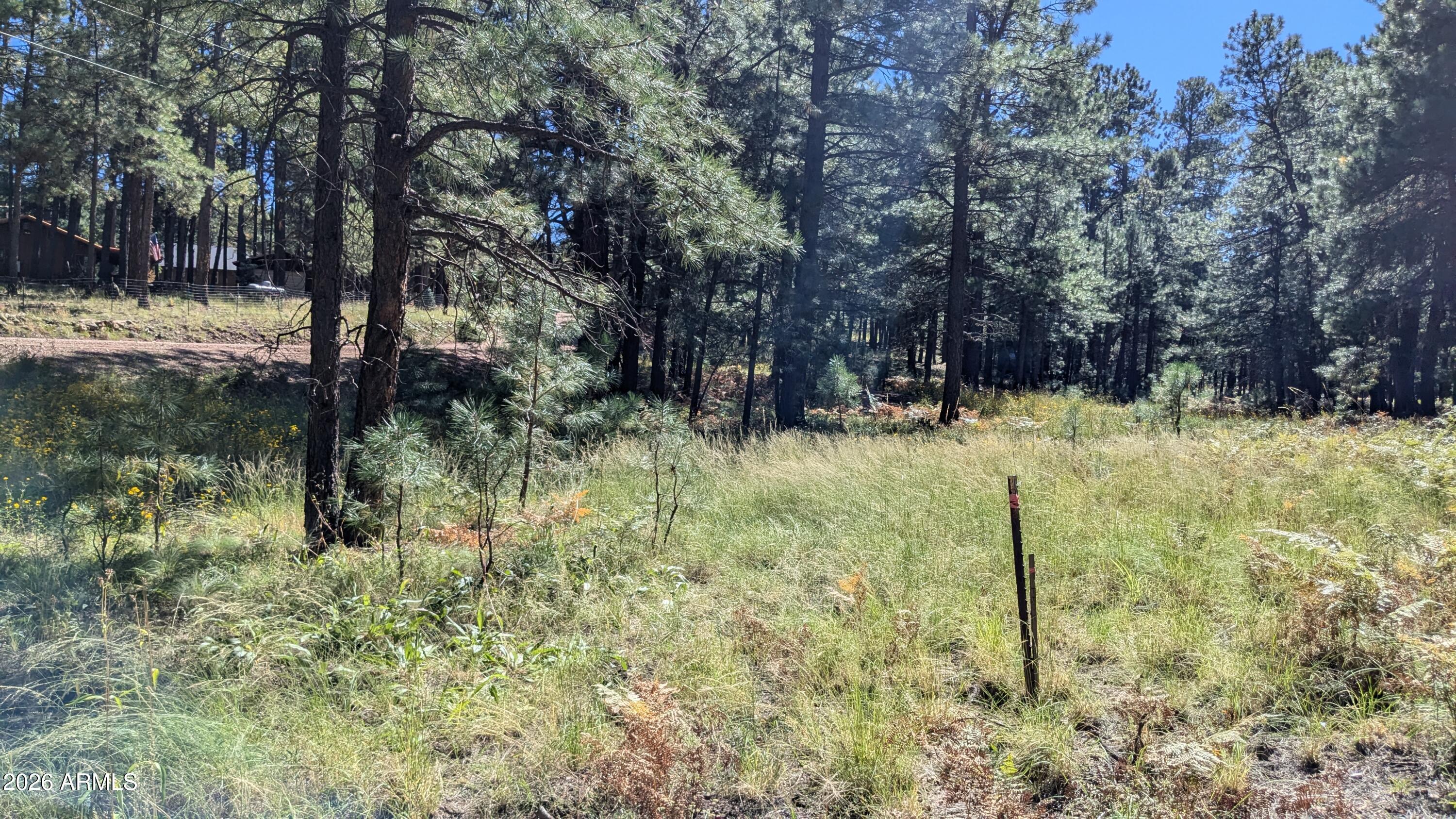 1878 Sheep Springs Road, Unit 427 Forest Lakes, AZ 85931 - Photo 16 of 22 PXL_20240919_210613921
