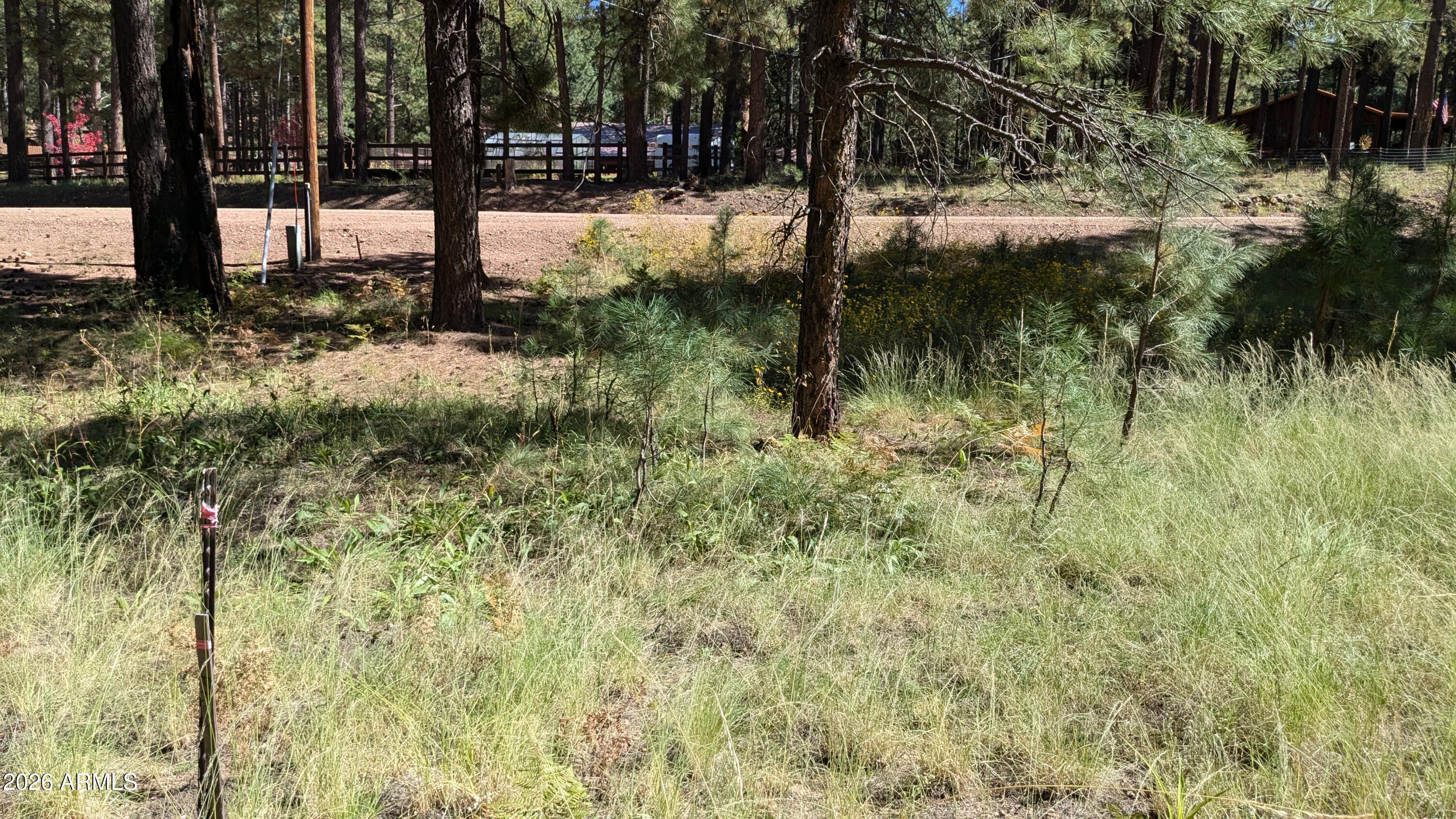 1878 Sheep Springs Road, Unit 427 Forest Lakes, AZ 85931 - Photo 17 of 22 PXL_20240919_210633234