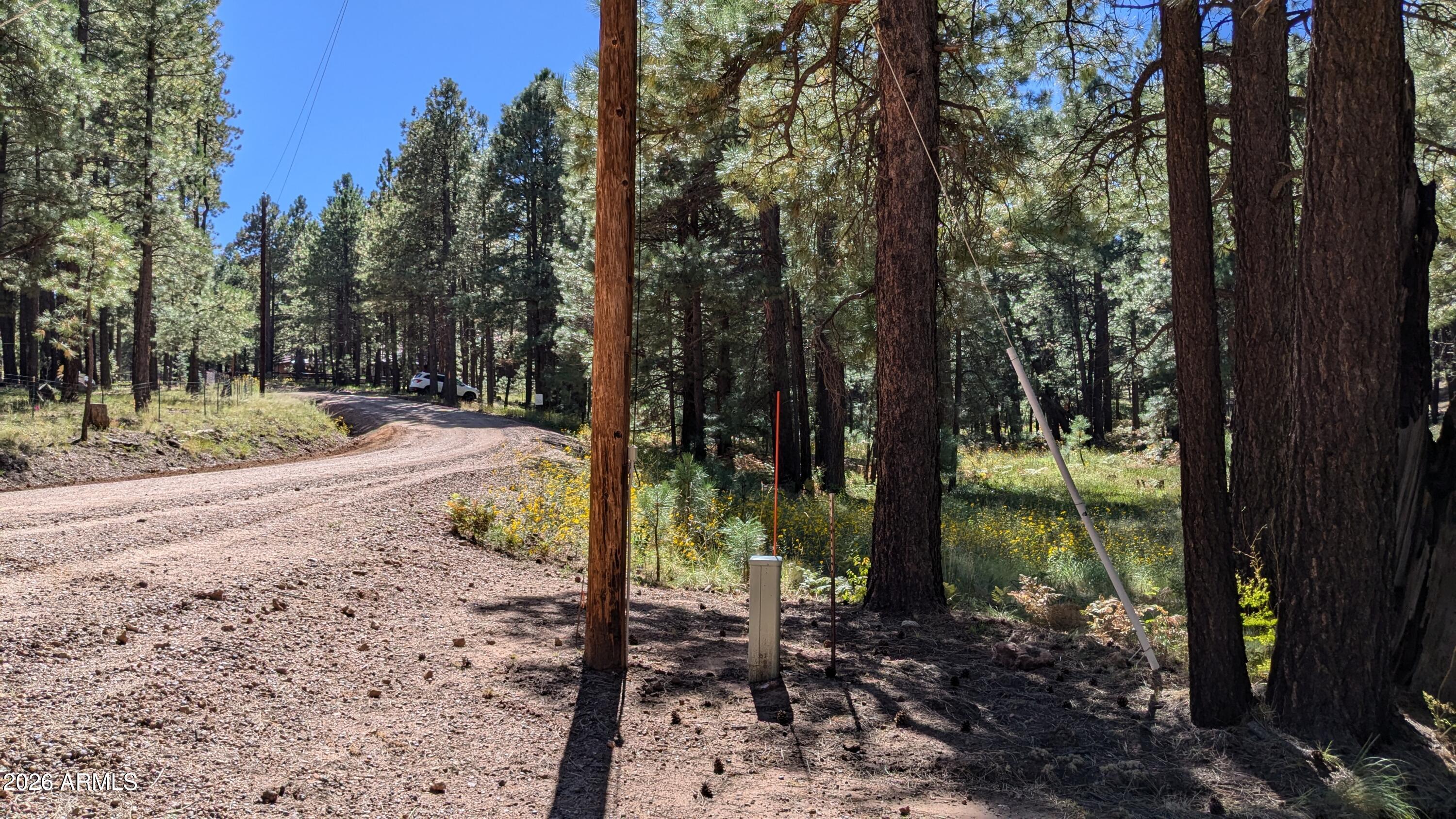 1878 Sheep Springs Road, Unit 427 Forest Lakes, AZ 85931 - Photo 18 of 22 PXL_20240919_210815473