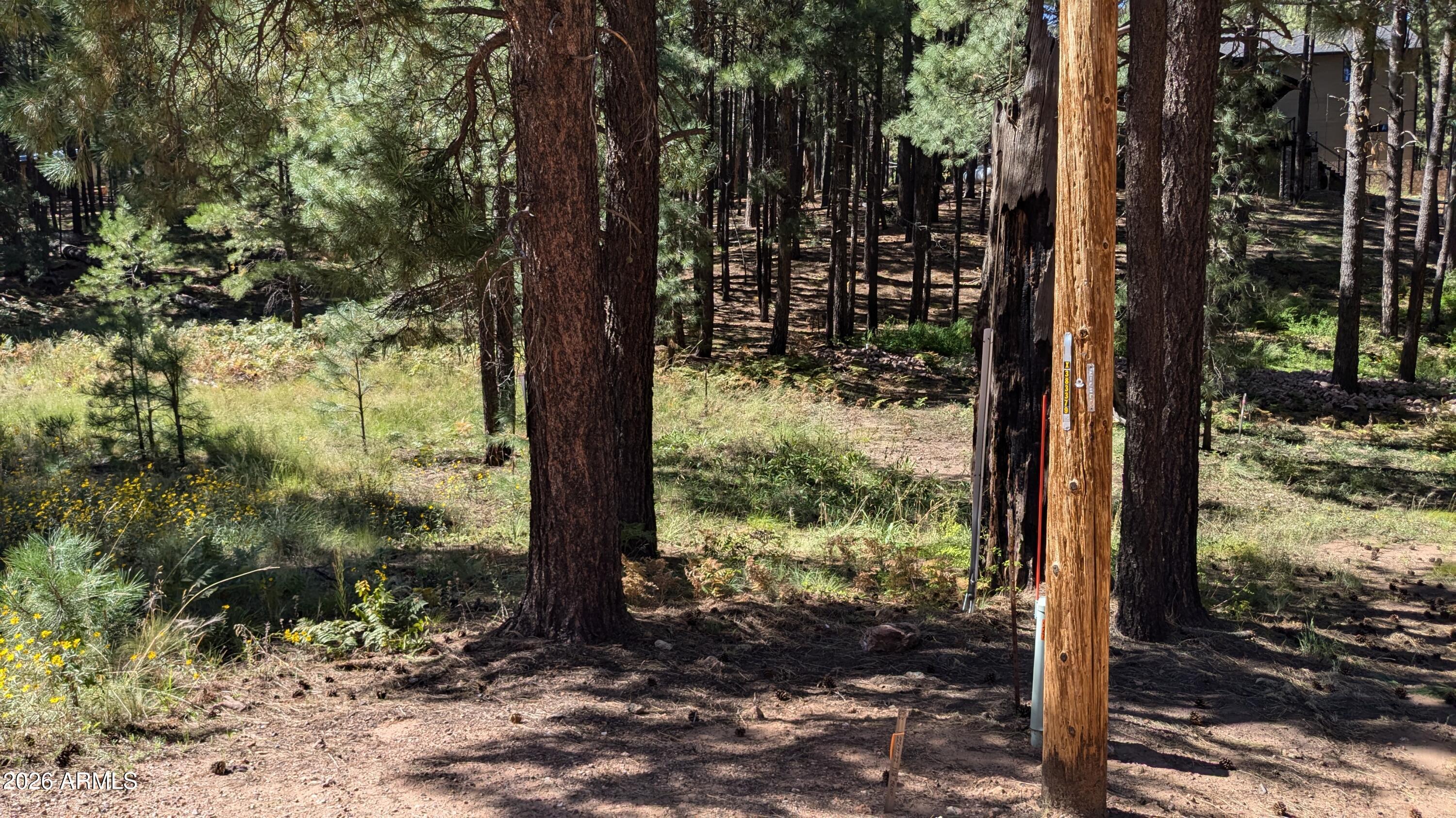 1878 Sheep Springs Road, Unit 427 Forest Lakes, AZ 85931 - Photo 19 of 22 PXL_20240919_210842009