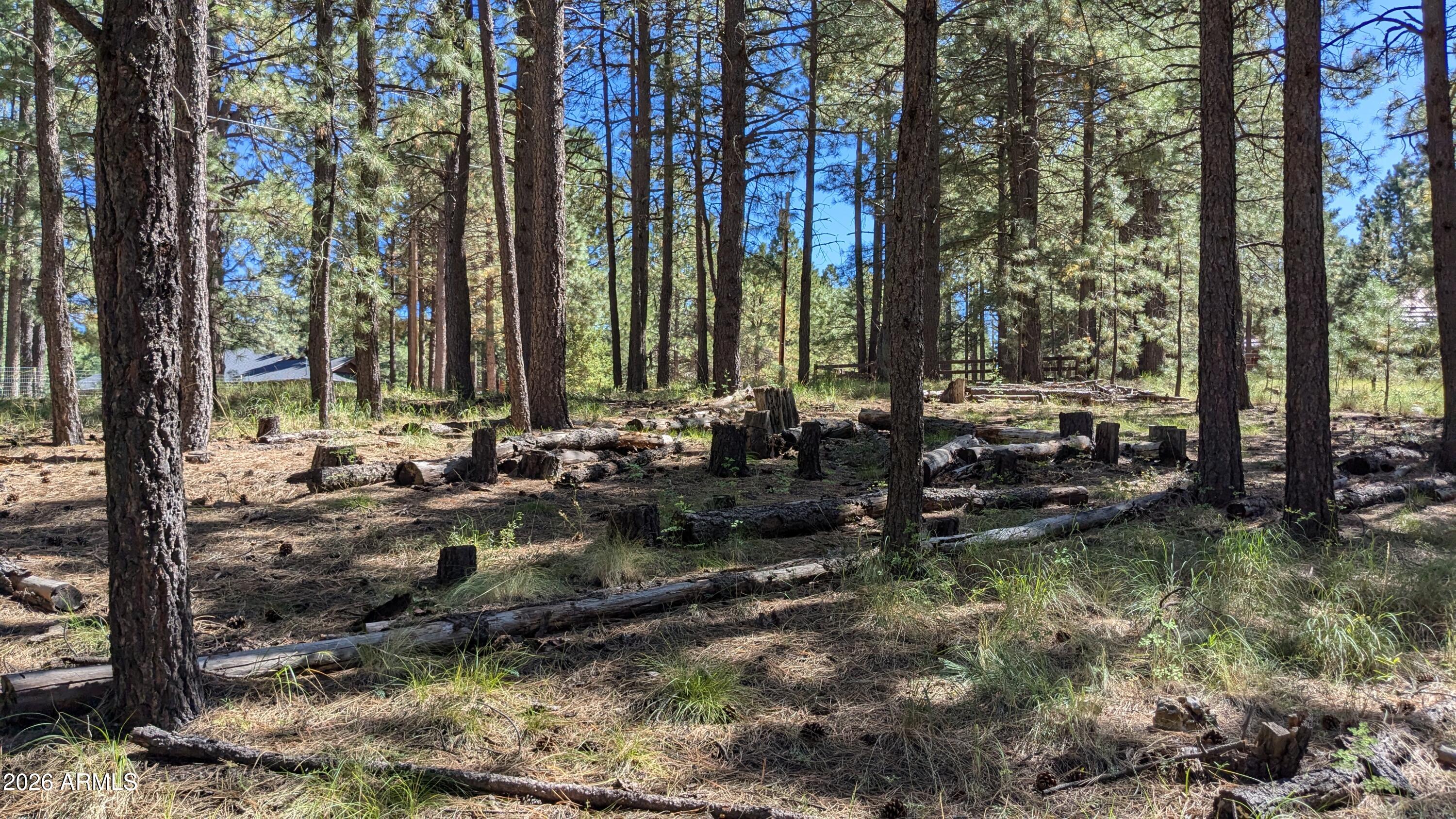 1878 Sheep Springs Road, Unit 427 Forest Lakes, AZ 85931 - Photo 2 of 22 Potential Building Site