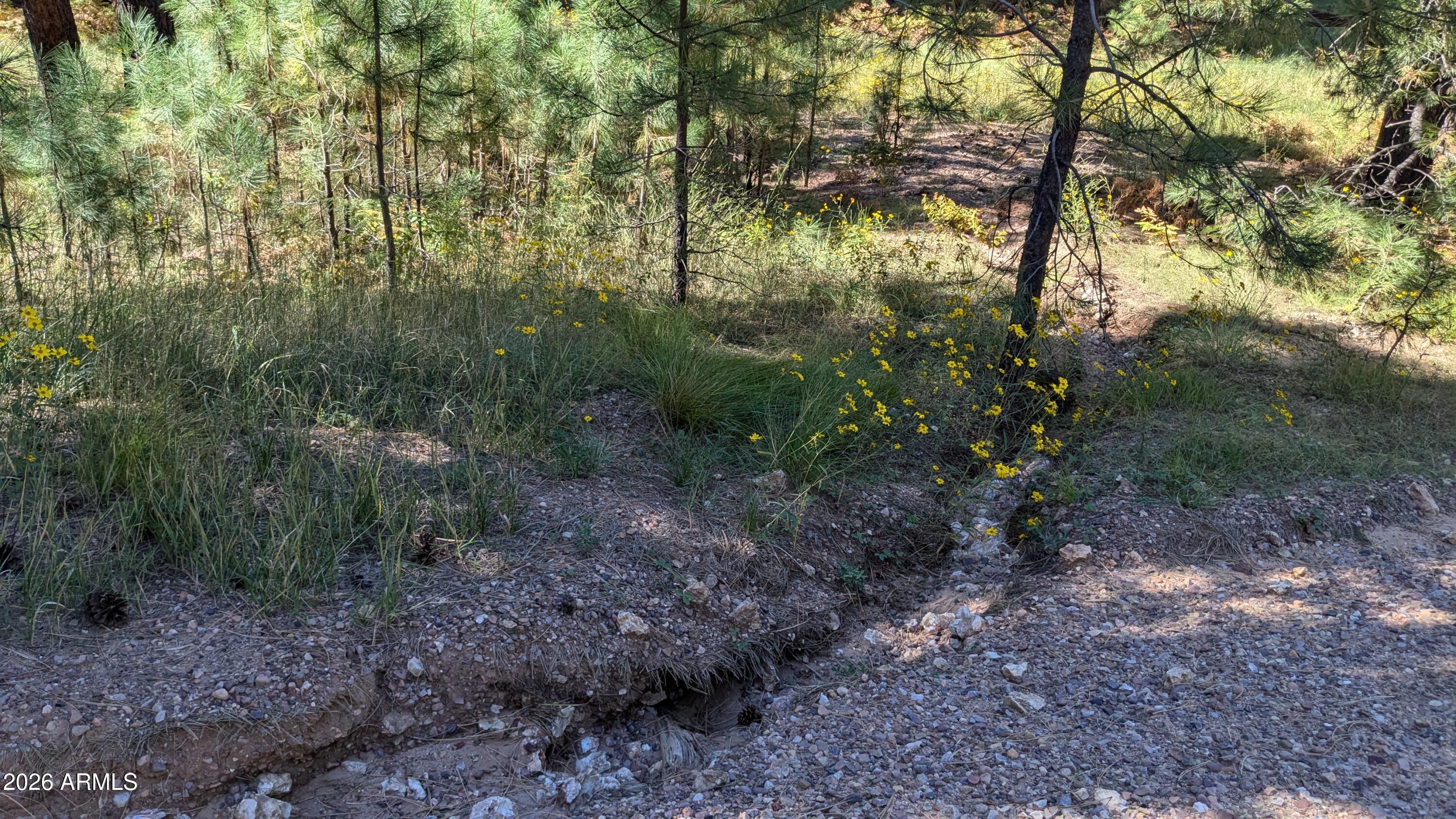 1878 Sheep Springs Road, Unit 427 Forest Lakes, AZ 85931 - Photo 21 of 22 PXL_20240919_211015963
