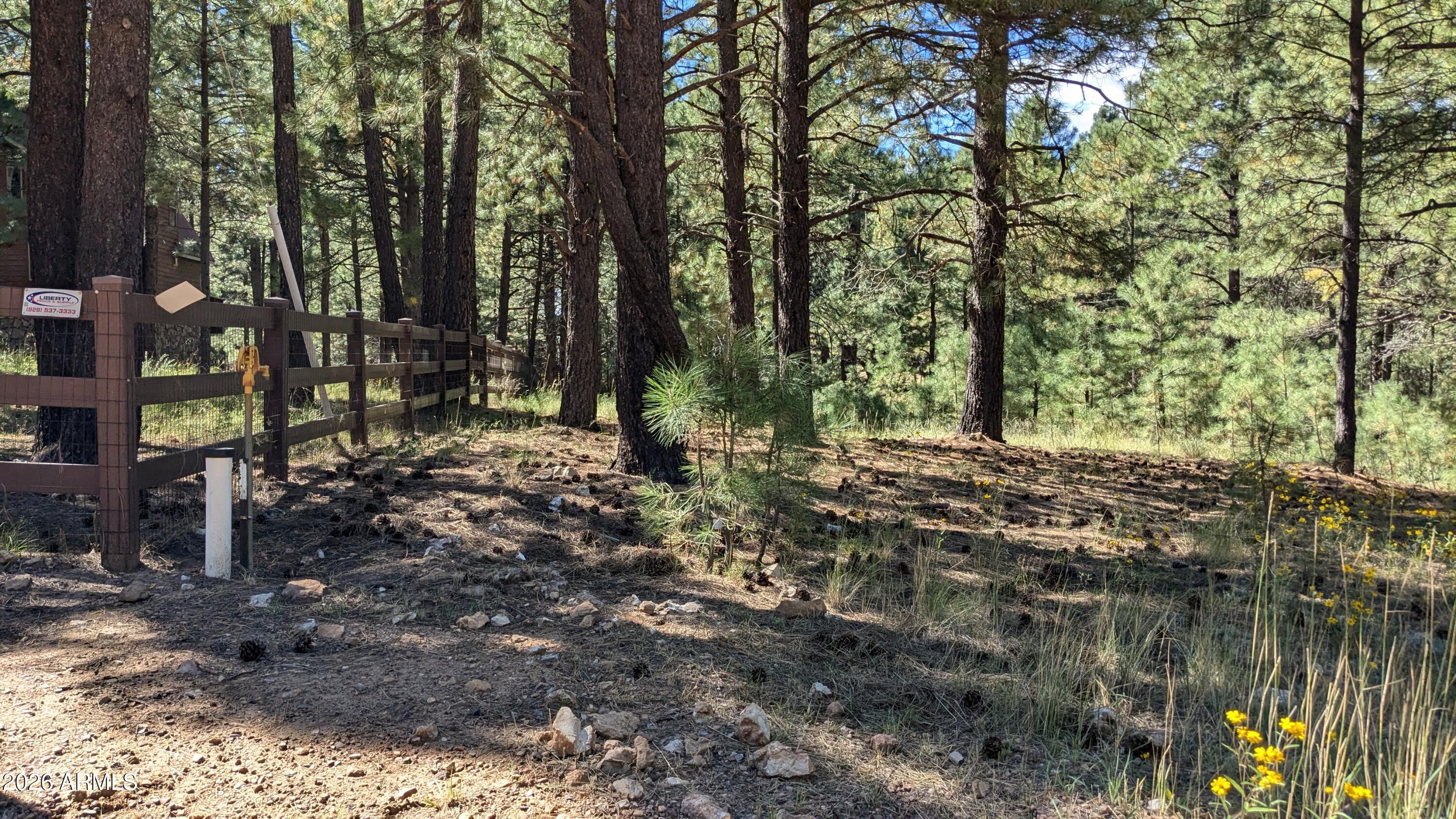 1878 Sheep Springs Road, Unit 427 Forest Lakes, AZ 85931 - Photo 6 of 22 South Boundary