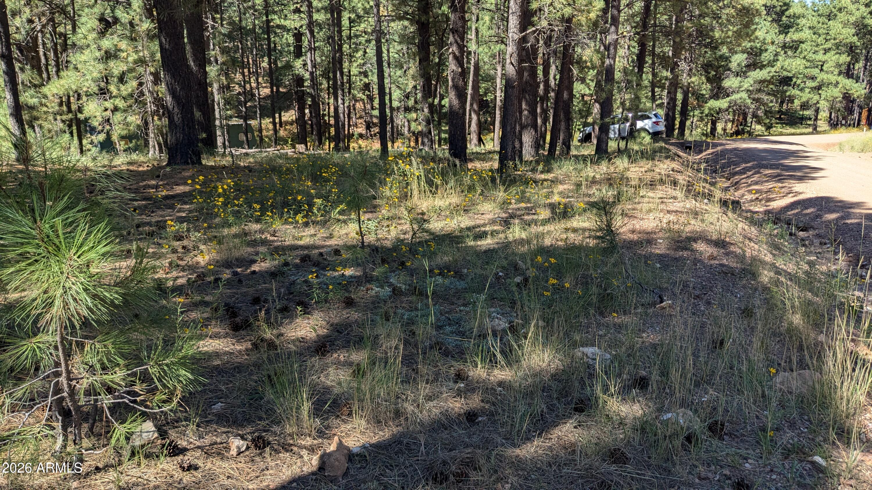 1878 Sheep Springs Road, Unit 427 Forest Lakes, AZ 85931 - Photo 7 of 22 PXL_20240919_204944797