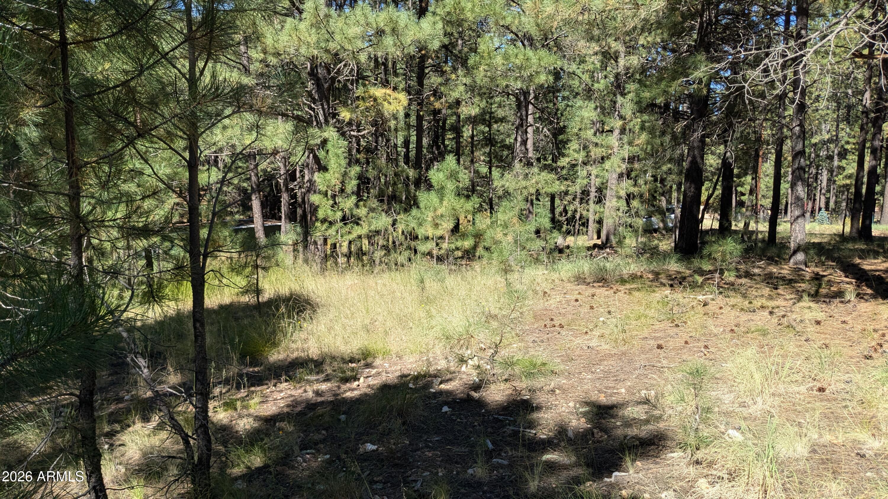 1878 Sheep Springs Road, Unit 427 Forest Lakes, AZ 85931 - Photo 8 of 22 PXL_20240919_205100681