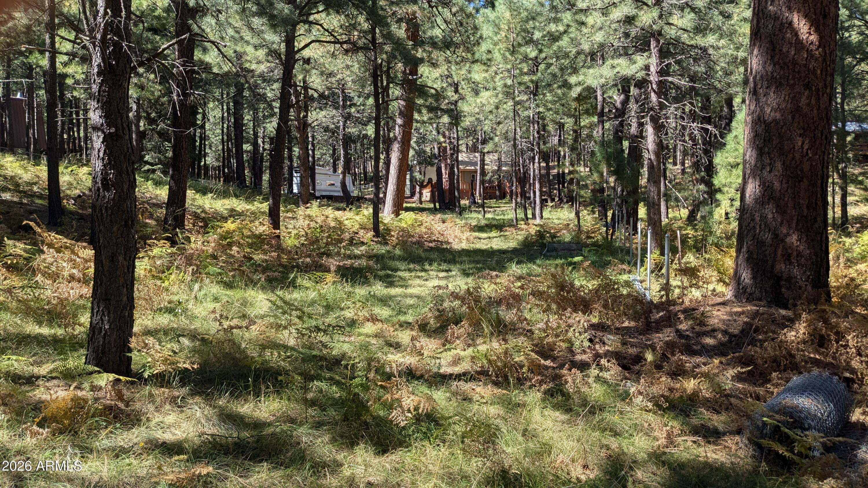 1878 Sheep Springs Road, Unit 427 Forest Lakes, AZ 85931 - Photo 10 of 22 PXL_20240919_205644505