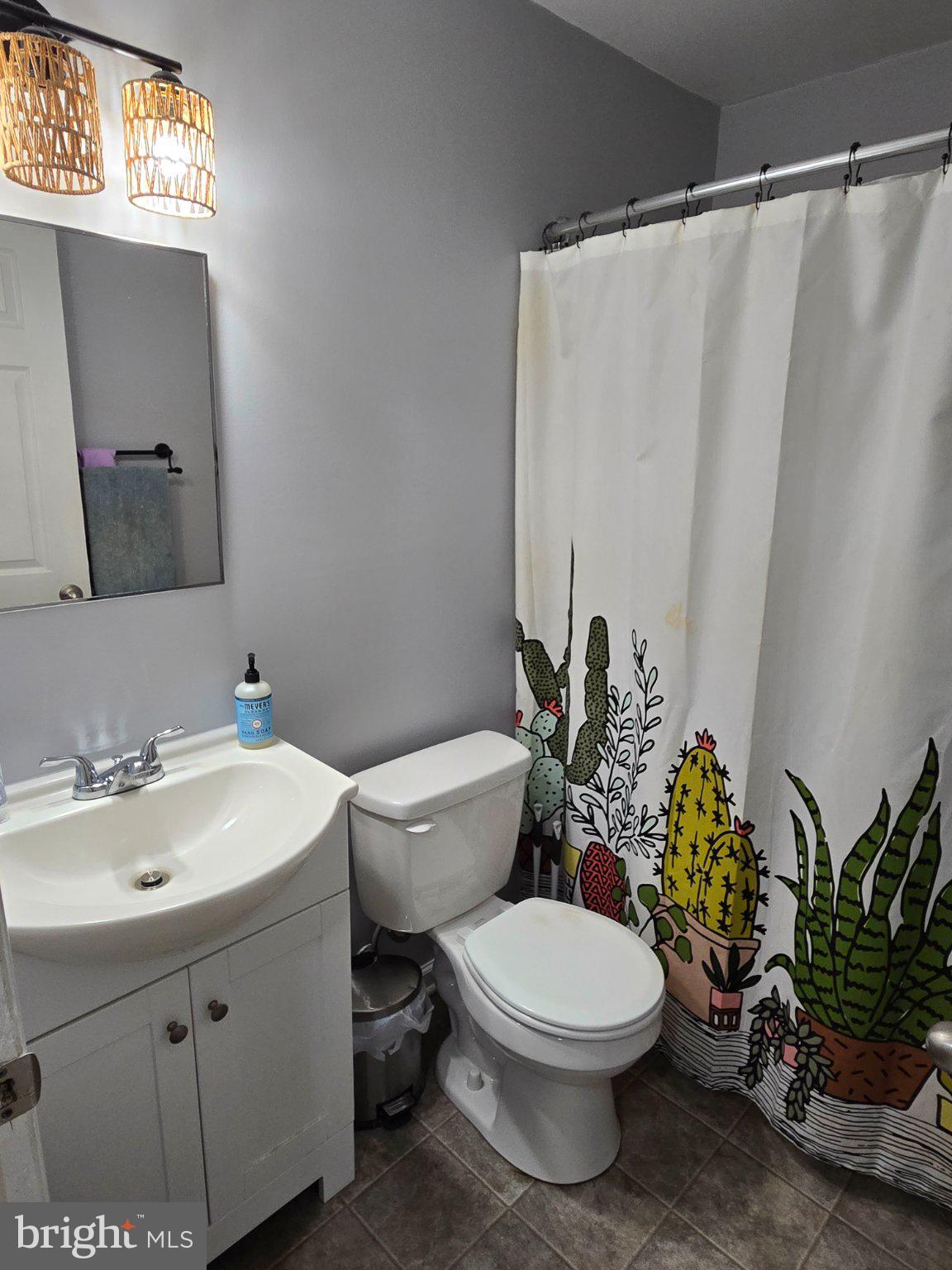 178 Elephant Road, Unit B13 Dublin, PA 18917 - Photo 20 of 21 Charming bathroom with vibrant decor.