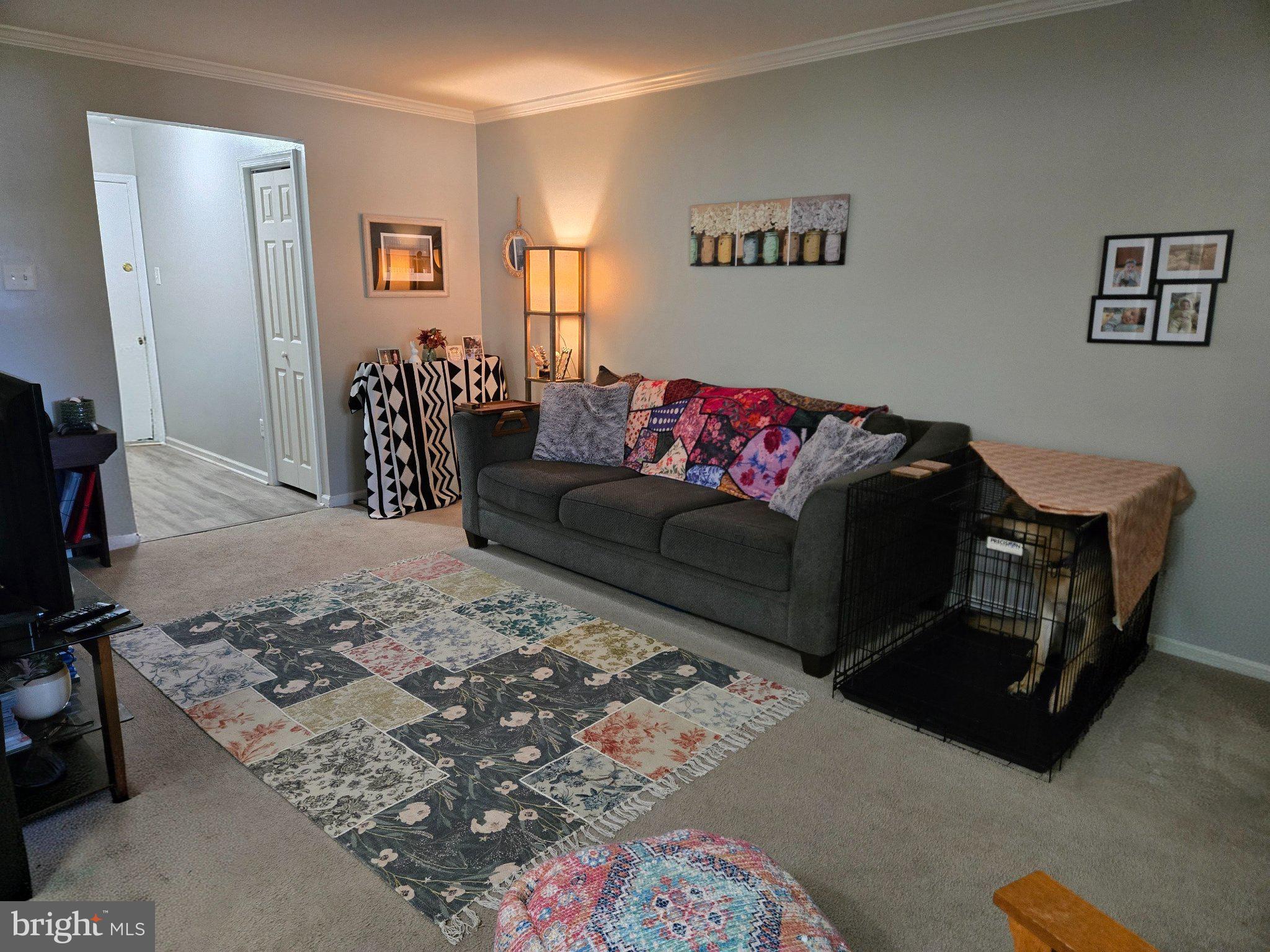178 Elephant Road, Unit B13 Dublin, PA 18917 - Photo 2 of 21 Cozy living space with vibrant accents.