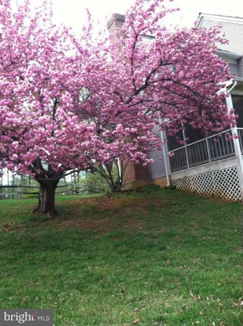 5500 Granby Road Derwood, MD 20855 - Photo 6 of 30 Cherry Tree outside screened porch