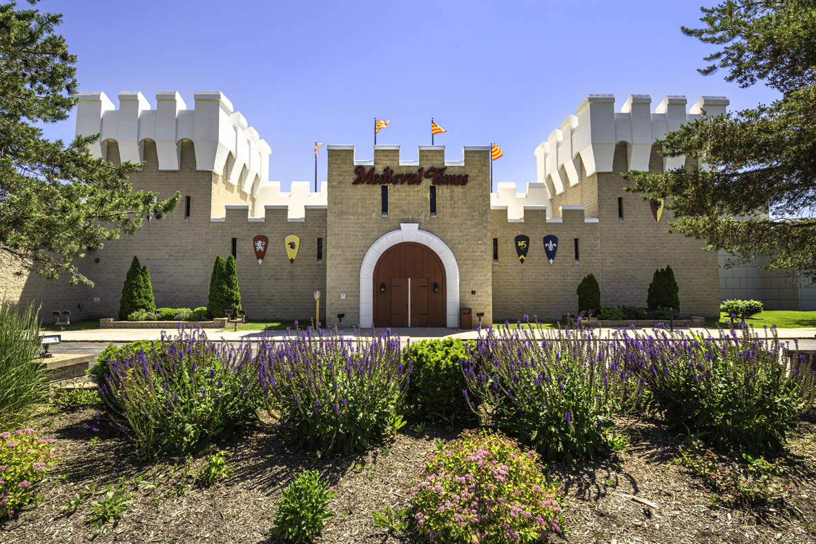 2241 Venture Drive Schaumburg, IL 60173 - Photo 21 of 33 a front view of a house with a yard and fountain