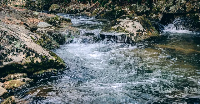 a view of a large yard with lots of green space