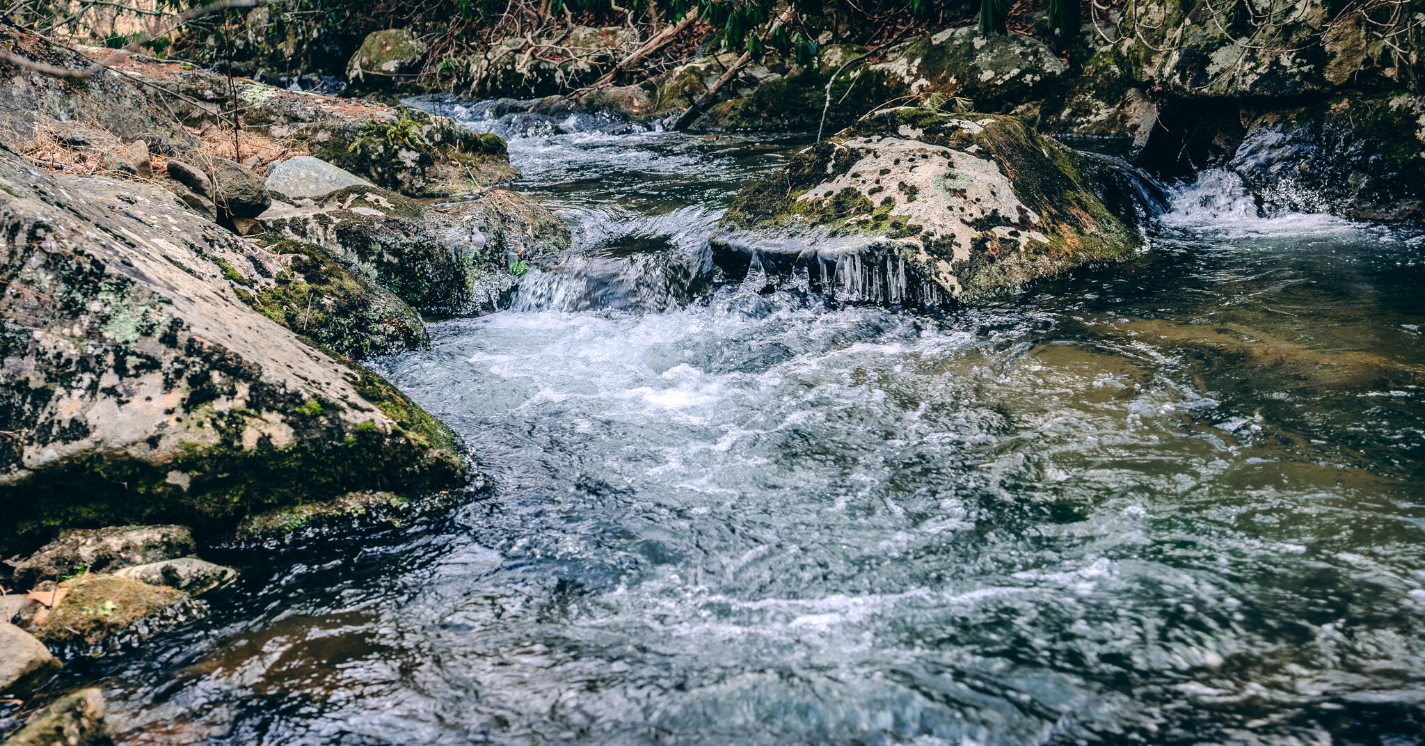 a view of a large yard with lots of green space