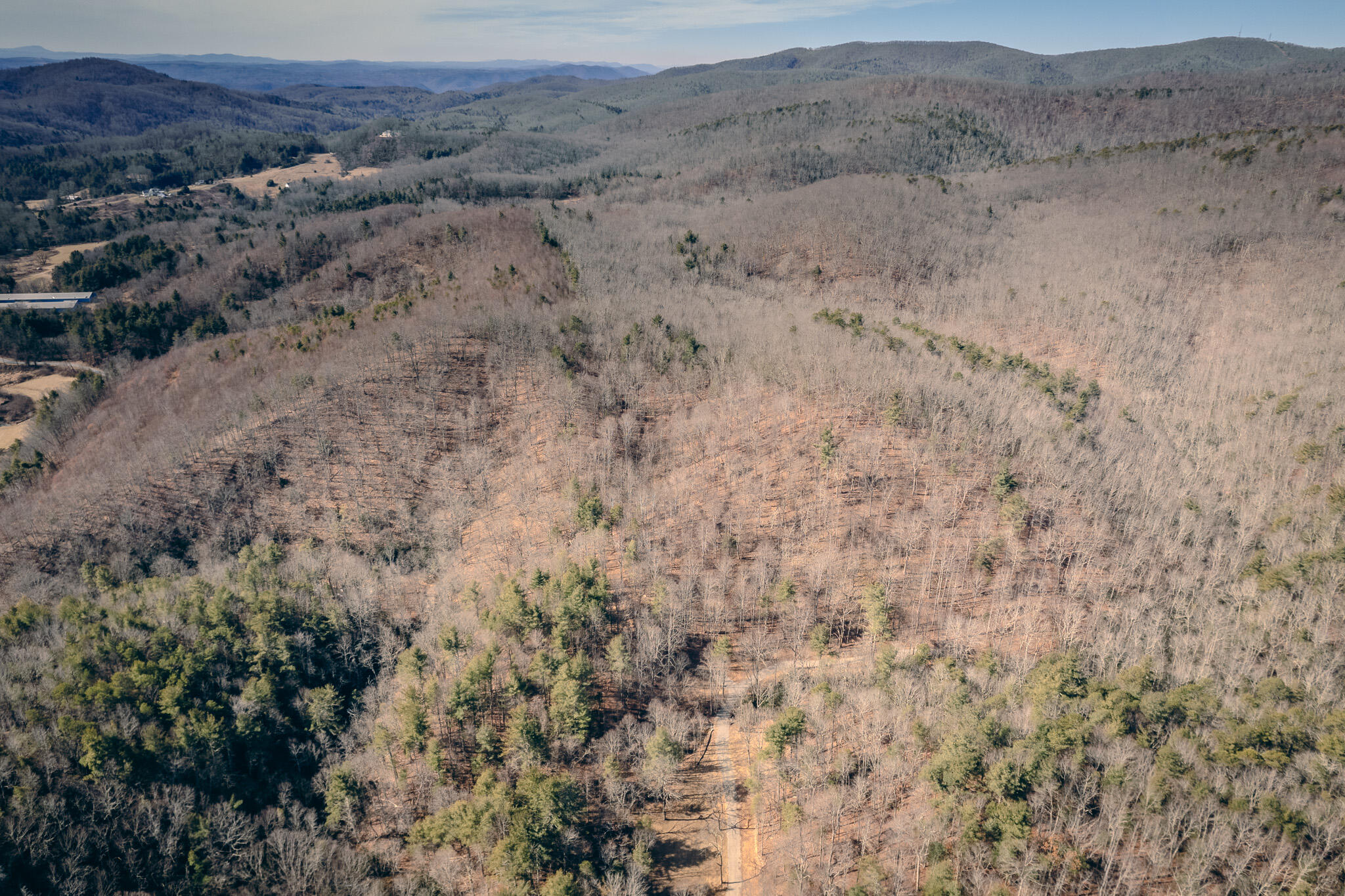 0 Bottom Creek Road Bent Mountain, VA 24059 - Photo 11 of 16 a view of lot of trees
