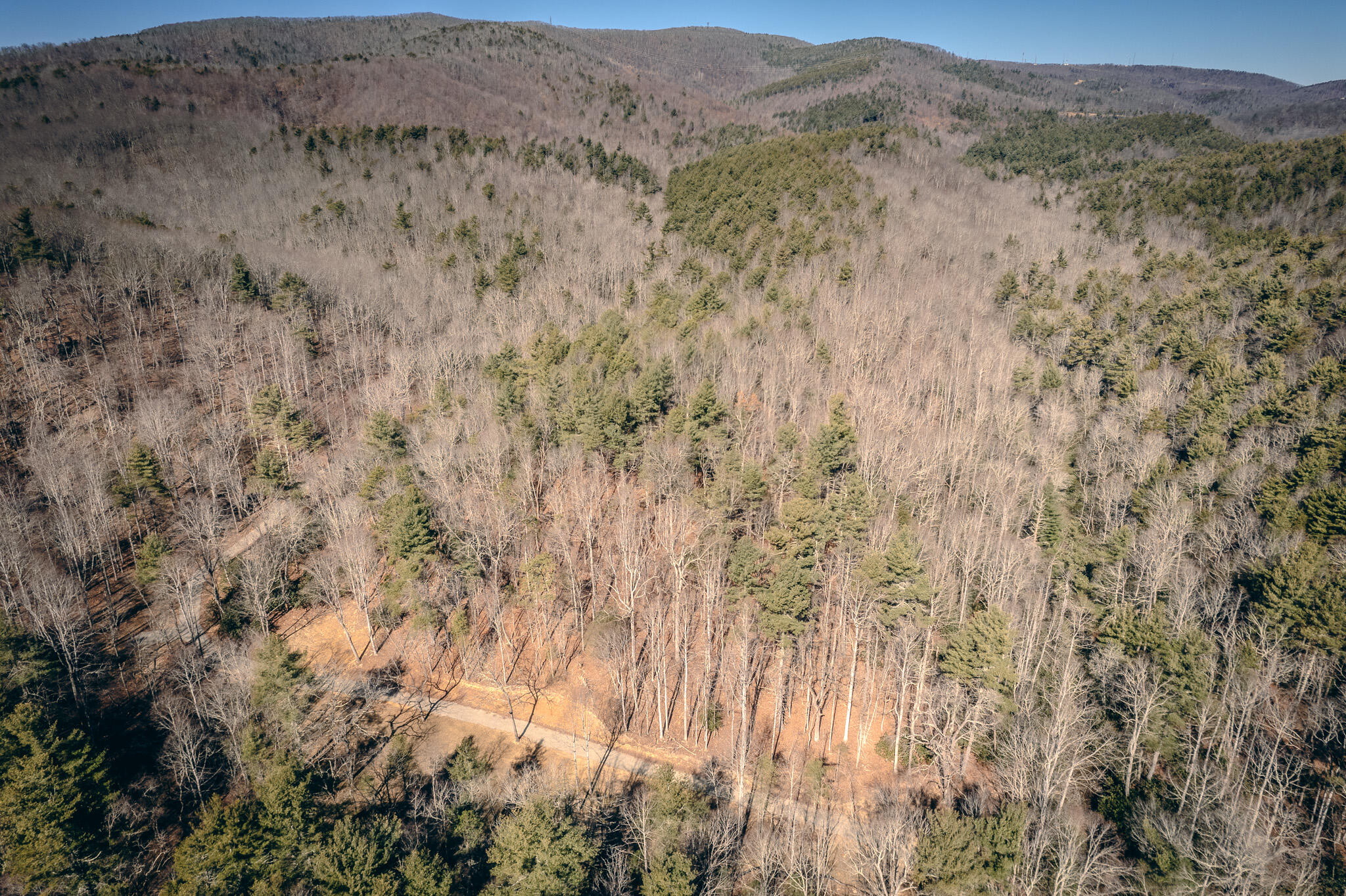 0 Bottom Creek Road Bent Mountain, VA 24059 - Photo 12 of 16 a view of a dry field