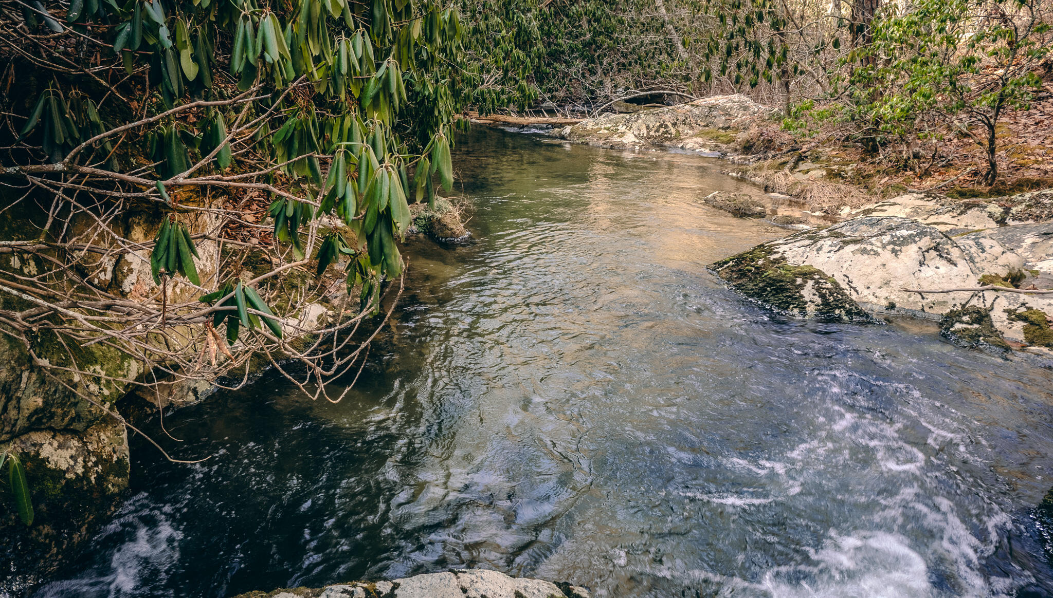 0 Bottom Creek Road Bent Mountain, VA 24059 - Photo 15 of 16 a view of lake