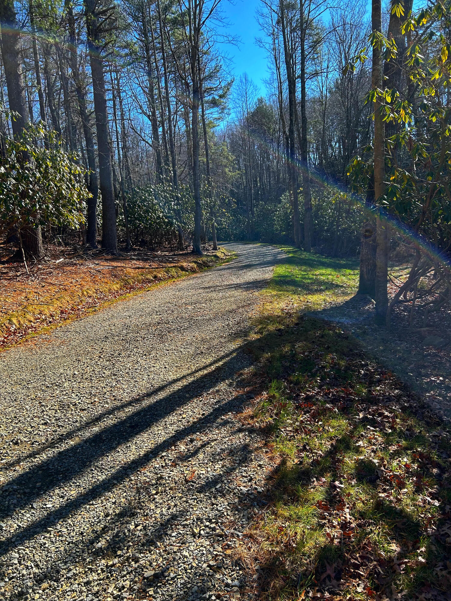0 Bottom Creek Road Bent Mountain, VA 24059 - Photo 16 of 16 a view of a yard with large trees